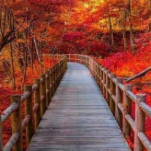 Profile photo of Helen