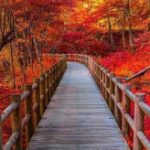 Profile photo of Helen