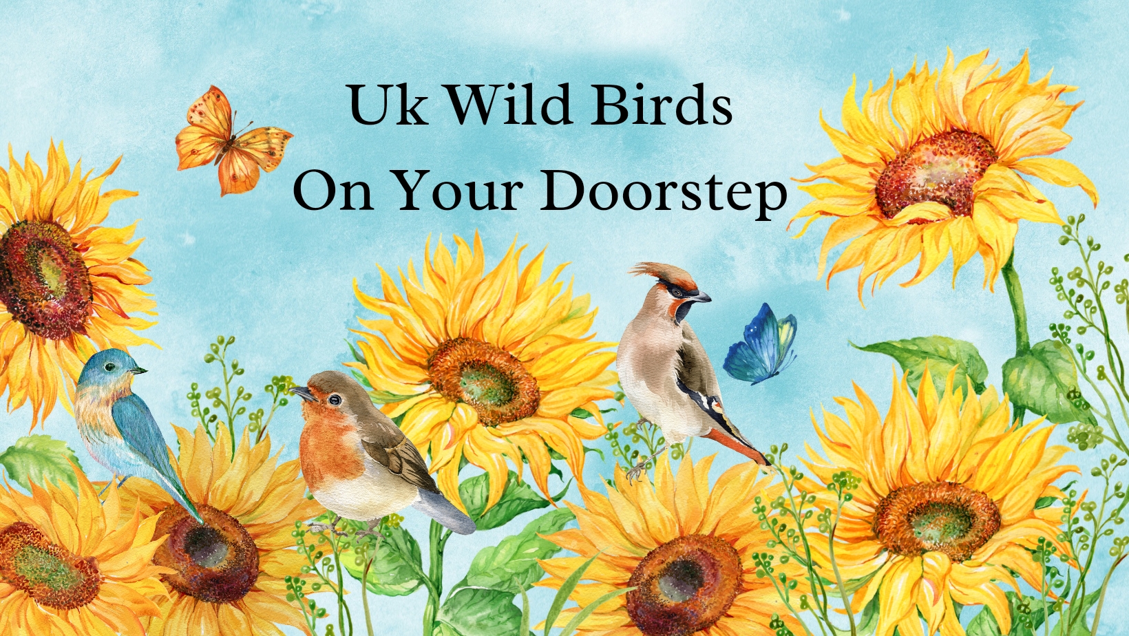 UK Wild Birds On Your Doorstep