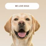 Group logo of We Love Dogs